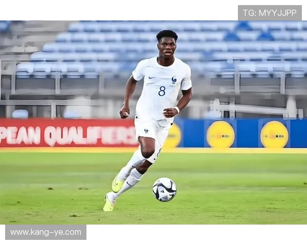 楚阿梅尼防守端贡献