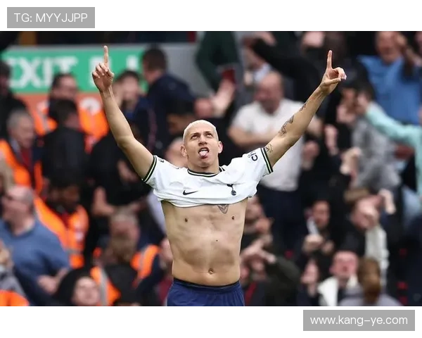 理查利森欧冠表现