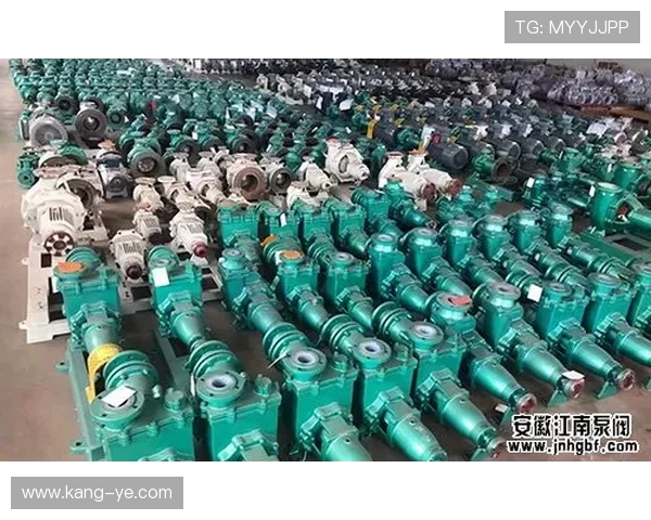 塞内加尔世界杯淘汰赛前景预测